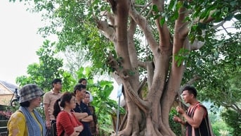 Khảo sát tiềm năng phát triển du lịch nông thôn 3 huyện Kbang, Mang Yang, Chư Păh