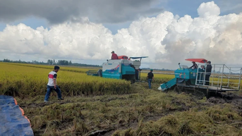 Bứt phá phát triển, bảo đảm vững chắc an ninh lương thực quốc gia