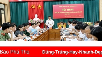 Tập trung xây dựng huyện Phù Ninh đạt chuẩn nông thôn mới năm 2024