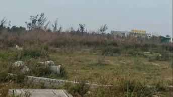 Dang dở Dự án Chợ nông sản Đồng Gia (Kim Thành)