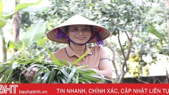 Hội viên phụ nữ Hương Sơn làm giàu từ mô hình kinh tế vườn
