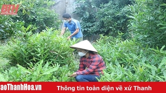 Tháo gỡ khó khăn trong áp dụng khoa học