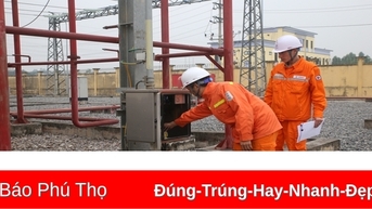 Cung cấp điện an toàn, liên tục trong dịp Tết Nguyên đán Ất Tỵ