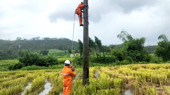 Công ty Điện lực Tuyên Quang nỗ lực khắc phục sự cố do bão số 3 gây ra