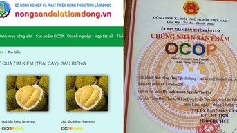 Lâm Đồng: Chú trọng phát triển sản phẩm OCOP để xây dựng nông thôn mới giàu mạnh