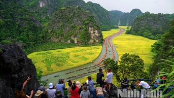 Photo tour Sắc vàng Tam Cốc Tràng An Hấp dẫn ấn tượng mang lại nhiều cảm xúc
