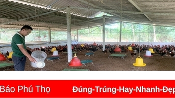 Giúp nông dân thoát nghèo