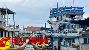 Ngư dân Bình Thuận vào vụ bấc