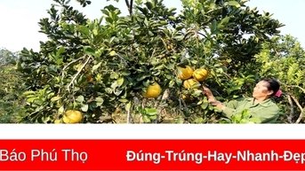 ផលិតកម្មកសិកម្ម រុក្ខាប្រមាញ់ និងនេសាទសម្រេចបាន ៣.៦៧%