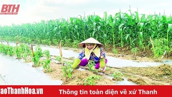Kỳ vọng bứt phá từ sản xuất vụ đông