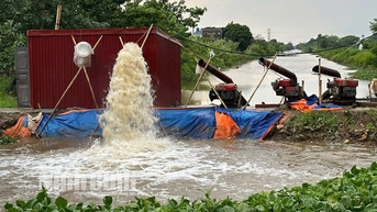 Bảo vệ sản xuất nông nghiệp trước bão số 3
