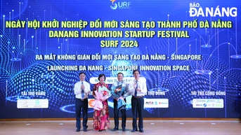 បើកដំណើរការ ទីក្រុងដាណាង - សិង្ហបូរី នវានុវត្តន៍