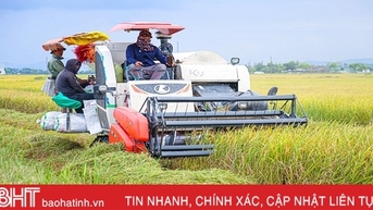Vụ lúa hè thu ở Hà Tĩnh thắng lợi toàn diện