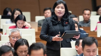 Đại biểu quốc hội tỉnh phát biểu tại hội trường về công tác tiếp công dân, giải quyết đơn thư, khiếu nại của công dân