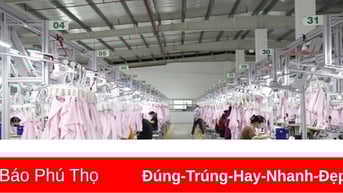 Thu bảo hiểm xã hội đạt 99,42% kế hoạch năm 2024