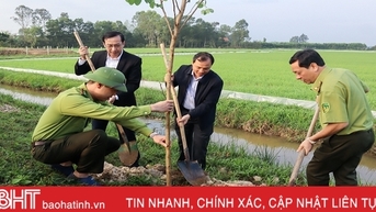 Lãnh đạo tỉnh Hà Tĩnh tham gia Tết trồng cây tại các địa phương