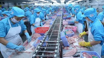 Đánh giá triển vọng kinh tế Việt Nam tươi sáng
