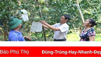 Chuyển đổi cơ cấu kinh tế ở Chí Đám