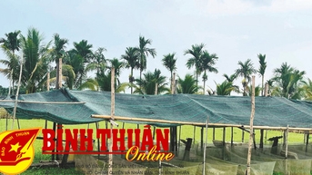 Nhiều mô hình hay, cách làm hiệu quả để phát triển kinh tế