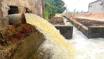 Trên 17.000 ha đất gieo cấy lúa ở Hải Dương đã được đổ ải
