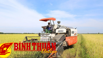 Toàn tỉnh có thêm 2 xã nông thôn mới, 5 xã nông thôn mới nâng cao