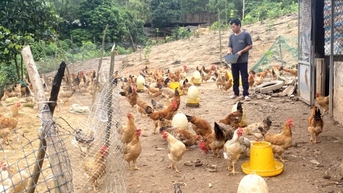 Tiên Yên: Giữ vững đà tăng trưởng kinh tế