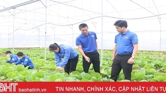 បង្កើតបរិយាកាសចាប់ផ្តើមអាជីវកម្ម និងអភិវឌ្ឍន៍សេដ្ឋកិច្ចទីក្រុង Ha Tinh