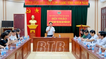 Đẩy mạnh kết nối cung cầu, tiêu thụ sản phẩm OCOP