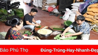 Nâng tầm bánh chưng truyền thống