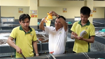 Xây dựng Ninh Thuận trở thành trung tâm sản xuất tôm giống chất lượng cao