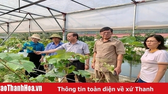 Tiếp sức cho nông dân làm giàu