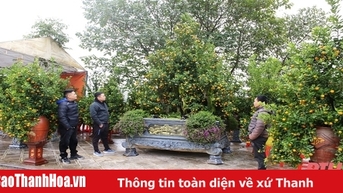 ទីក្រុង Thanh Hoa រៀបចំផ្កា ចំការ និងគ្រឿងតុបតែងលម្អសម្រាប់បុណ្យចូលឆ្នាំថ្មី ឆ្នាំ 2025