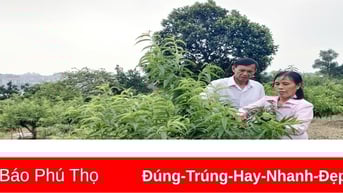 Phát triển làng nghề góp phần giảm nghèo