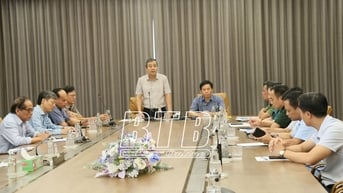 Đồng chí Bí thư Tỉnh ủy kiểm tra, chỉ đạo công tác phòng, chống bão số 3 tại Thái Thụy