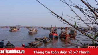 Chủ động ứng phó với đợt rét đậm, rét hại từ ngày 26/1