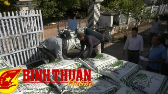 Cấp phát hỗ trợ phân bón vi sinh sản xuất lúa