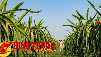 Khá lên nhờ nguồn vốn chính sách