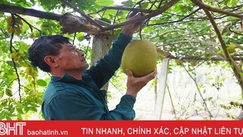 កម្លាំងជំរុញការកសាងជនបទថ្មីនៅ Loc Ha