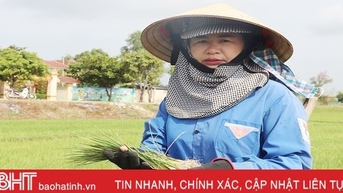 ខ្វះ​ទឹក​ស្រោចស្រព ប្រជាពលរដ្ឋ​នៅ​តំបន់​អណ្តូង​ដែក​ថាច់​ខេ លេង​ល្បែង​ជាមួយ​អាកាសធាតុ​ដើម្បី​ធ្វើ​ស្រែ។