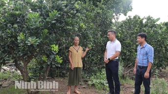 លោក Nho Quan បានប្តេជ្ញាថានឹងបញ្ចប់គោលដៅកាត់បន្ថយភាពក្រីក្រ