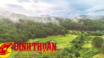 នេះ​បើ​តាម "ដំណើរ​នៃ​សមុទ្រ​និង​ផ្កា" នៅ Tuy Phong