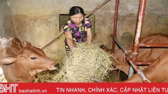 “Chìa khóa” mở cánh cửa thoát nghèo bền vững cho nông dân Lộc Hà