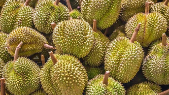 Vàng SJC đứng ở mức 89 triệu đồng/lượng; Sầu riêng tiếp đà giảm do vào chính vụ