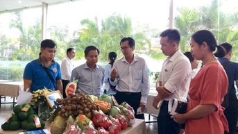 Đưa nông sản Đắk Nông vào thị trường TP Hồ Chí Minh