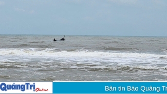 Kịp thời cứu sống 3 ngư dân bị sóng đánh chìm