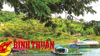 Vướng mắc quyết định. Bài 2