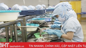 Doanh nghiệp “ngóng” tiếp cận gói tín dụng ưu đãi lâm, thuỷ sản