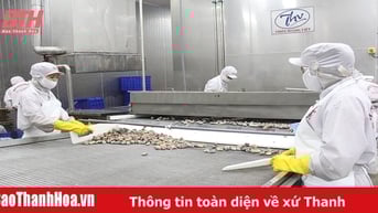 Thúc đẩy công nghiệp chế biến nông - lâm