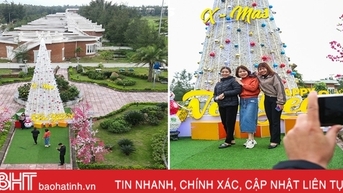 Cây thông Noel được làm từ 100.000 vỏ sò ở Hà Tĩnh