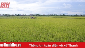 Nông nghiệp tăng trưởng ấn tượng